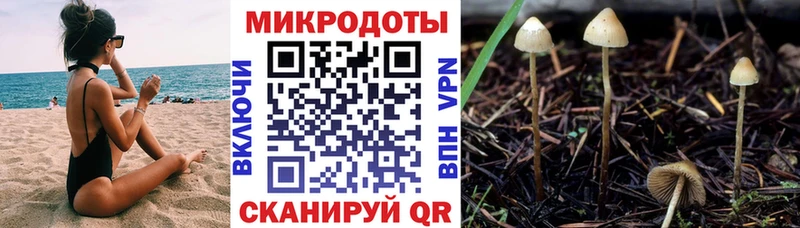 Псилоцибиновые грибы мицелий  Сорочинск 